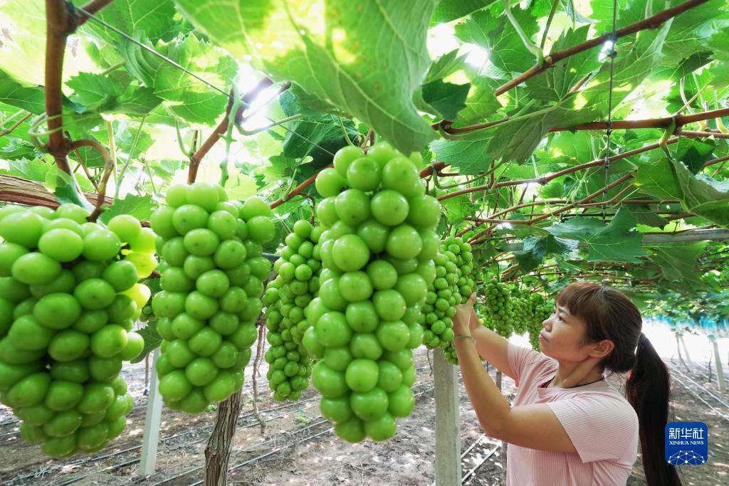 巴黎人电子mg